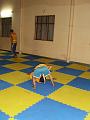 resized_P5060038