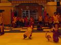 resized_P1030073